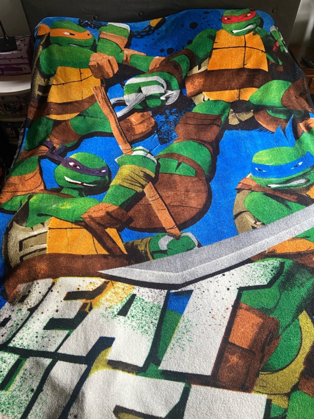 Teenage Mutant Ninja Turtles Twin Size Plush Blanket